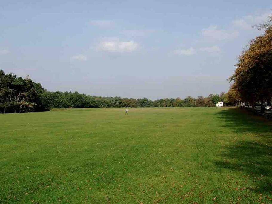 Spacious 4 Bed Rooms, Parking, Garden And Near Parks, Beaches And University ボーンマス エクステリア 写真